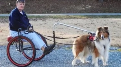 Šport so psom: čo robiť s domácim zvieratkom vo vašom voľnom čase